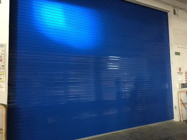 Blue roller door